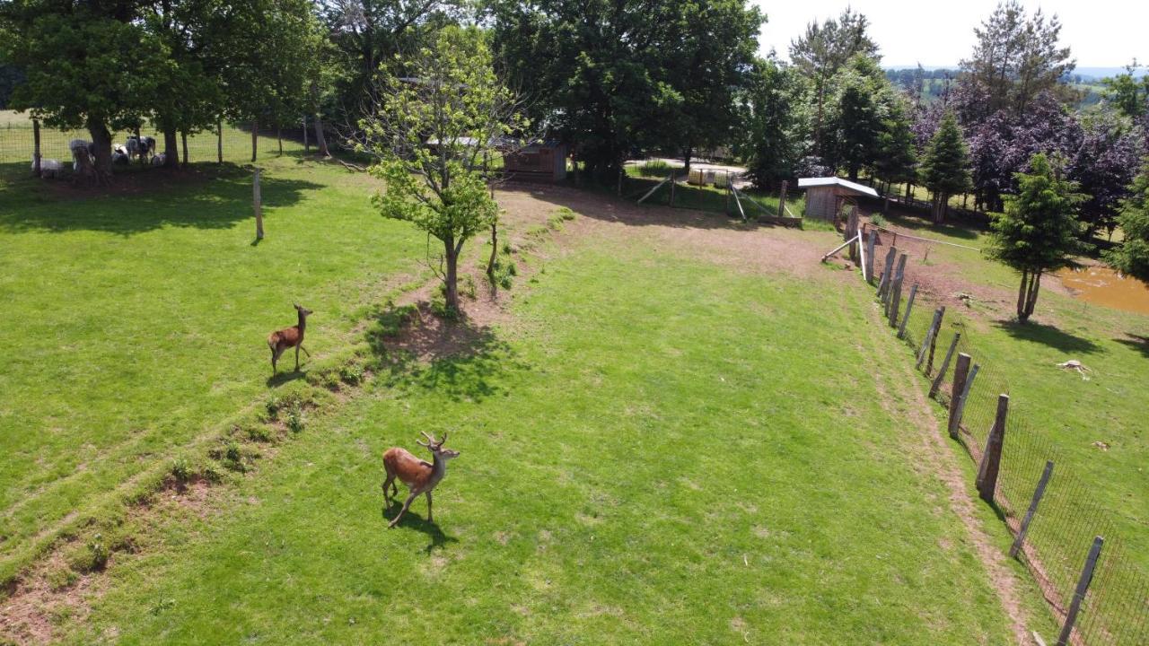 Le Gagnage 31 Pers- Malmedy, Rustique, Vue, Wellness Exterior foto