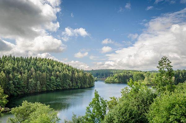 Le Gagnage 31 Pers- Malmedy, Rustique, Vue, Wellness Exterior foto